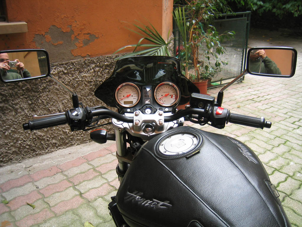 hornet