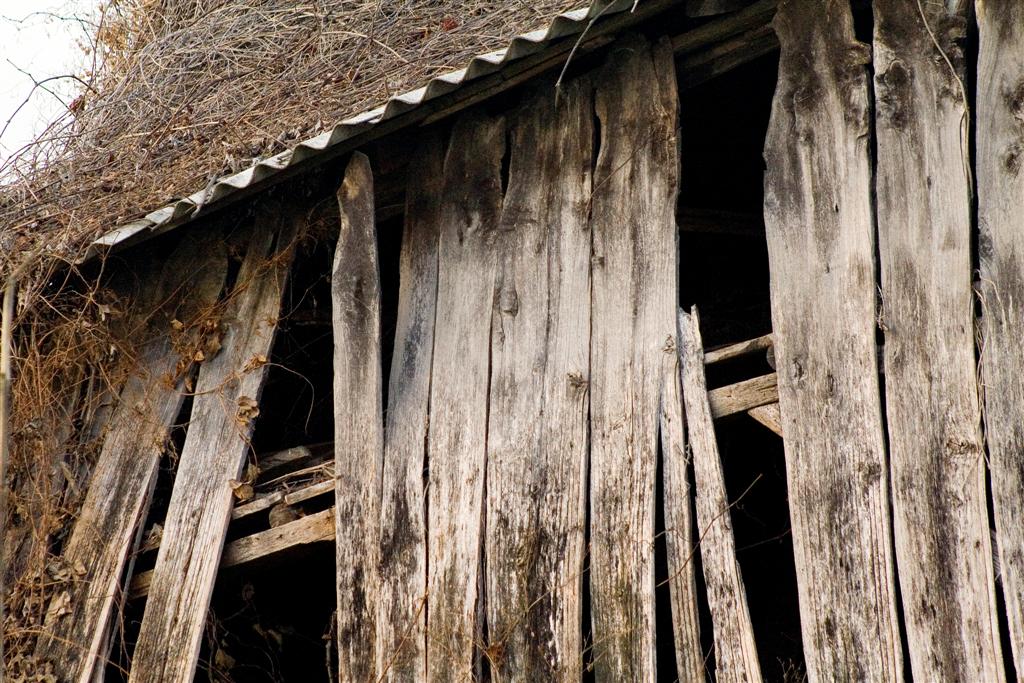 Wood