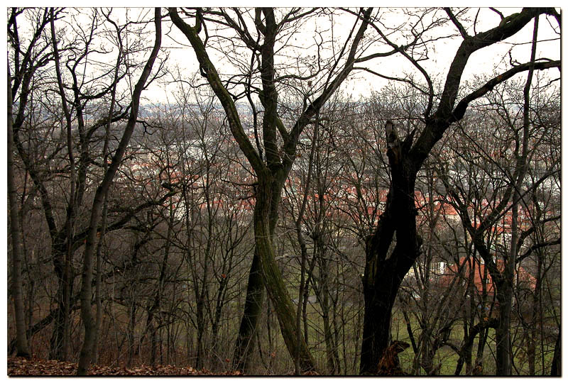 praga