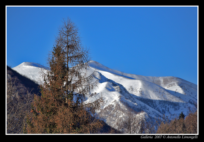 Strano Inverno