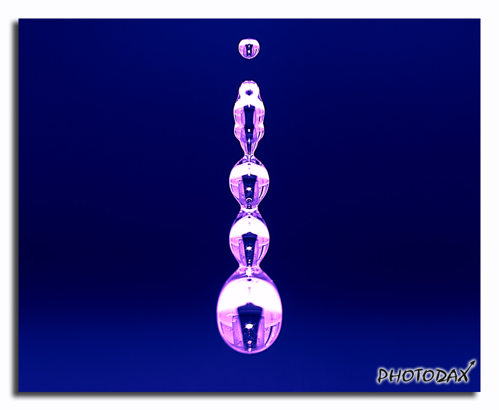 Perle