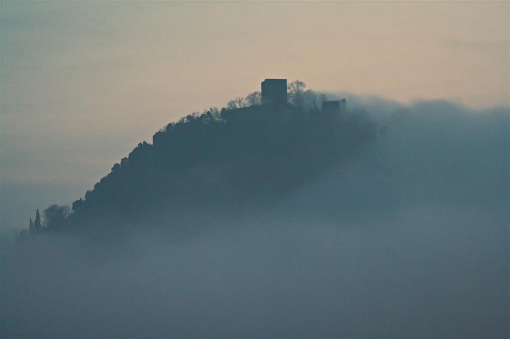 Nebbia (red)