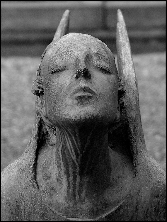 faccia