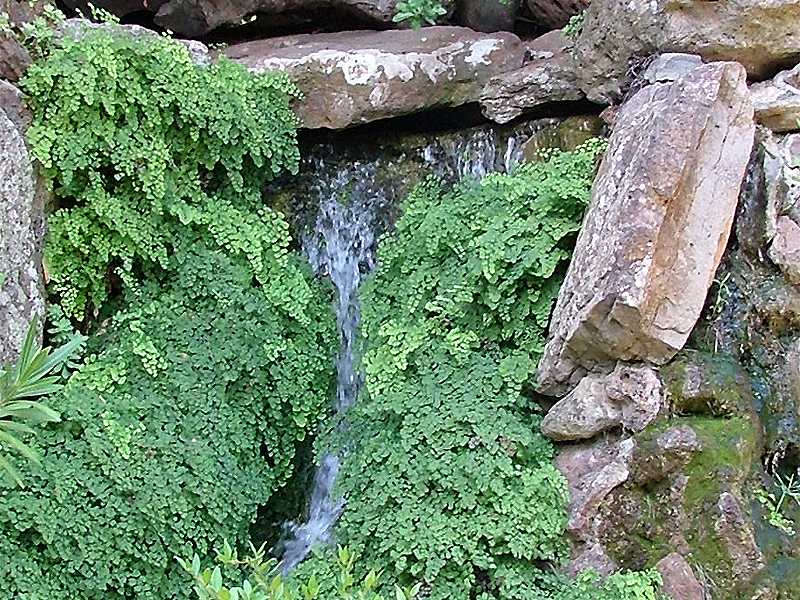 Cascata1