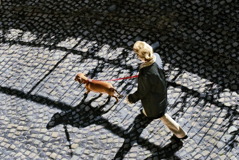 A SPASSO COL CANE