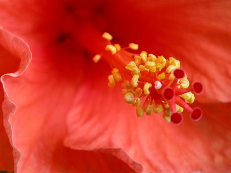 Img2006_07_30-12-21-32