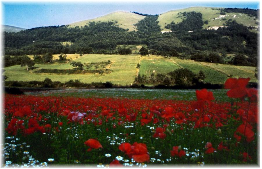 campo e collina