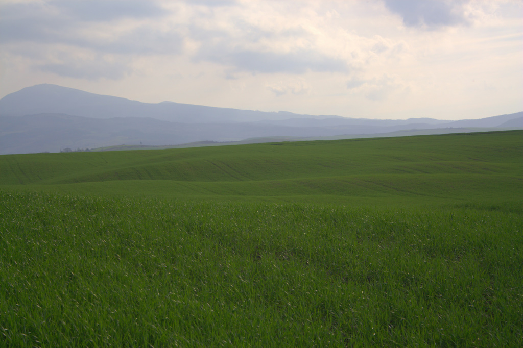 agricoltura
