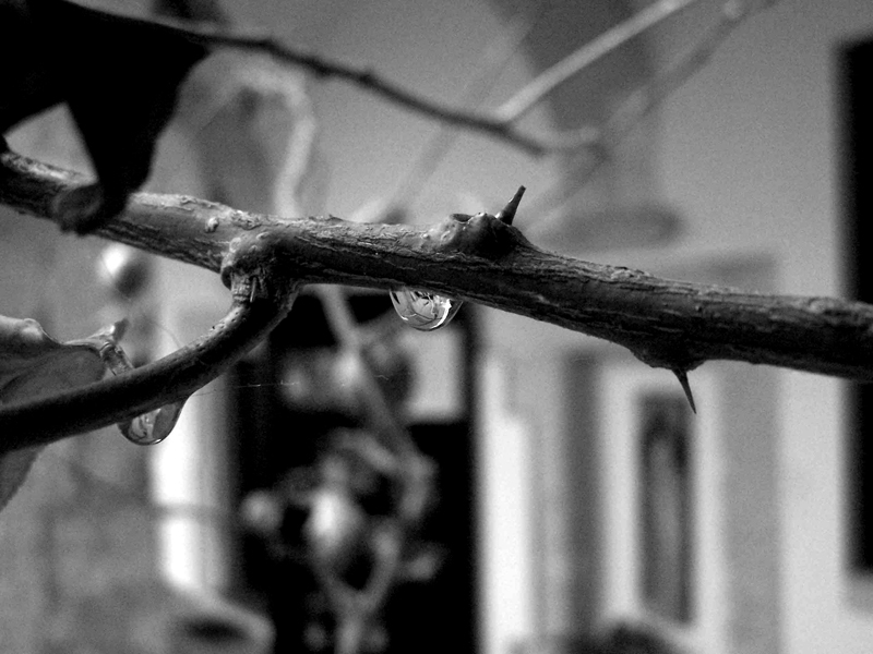 goccia di memoria