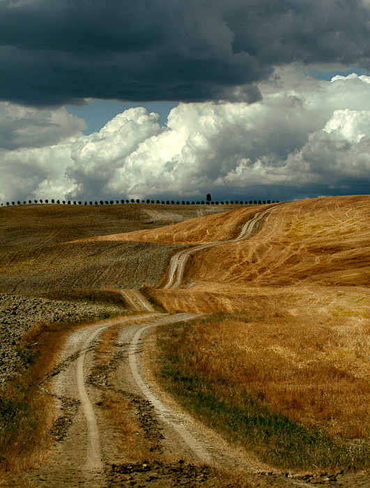 A way on the fields