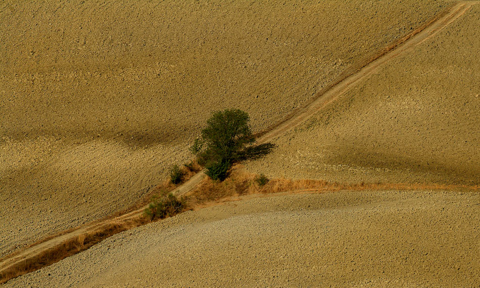 Nostra madre terra