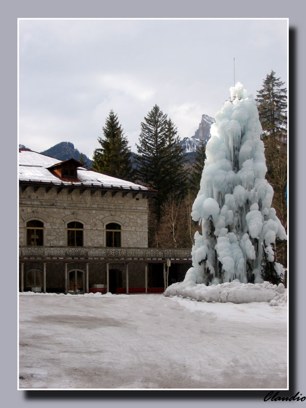 neve