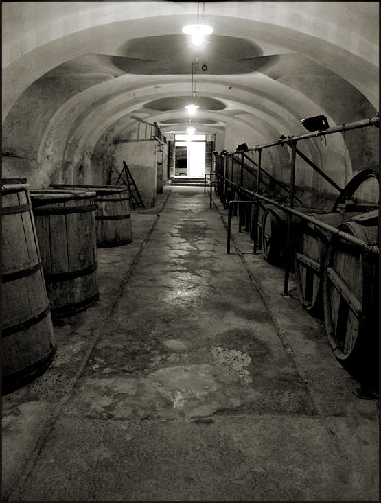 cantina3