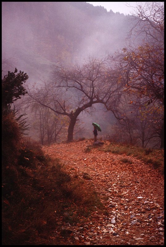Autunno sulle Apuane 2