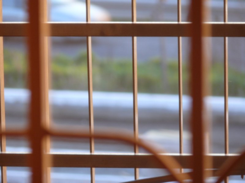 Voglia di uscire e fotografare