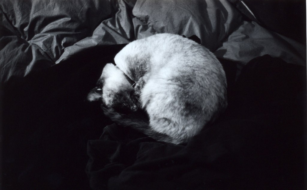 lasciami dormire...