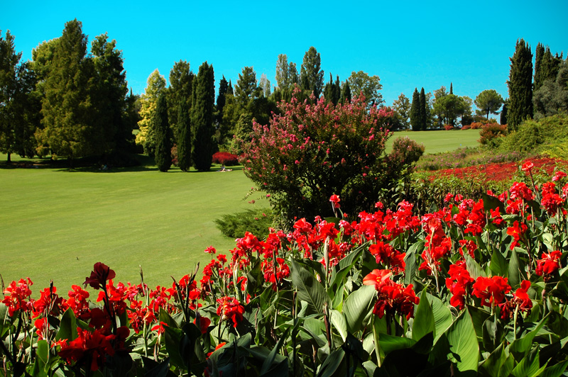 Giardino fiorito