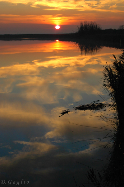 Tramonto sul Reno