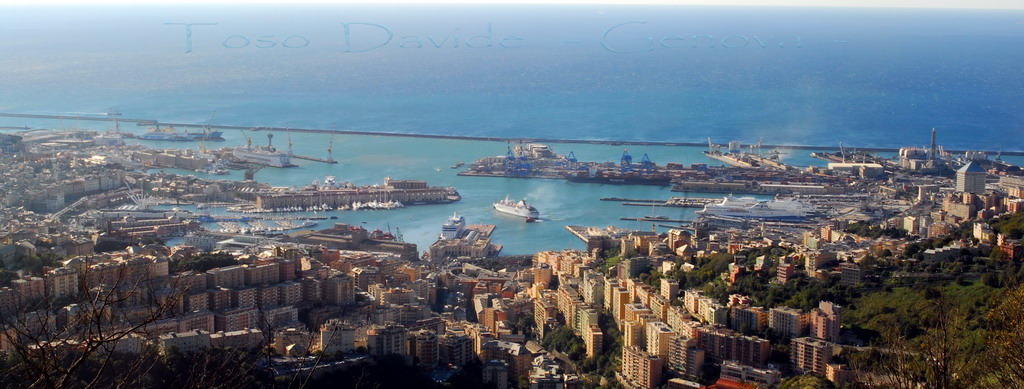 vista del porto 2 - Genova -