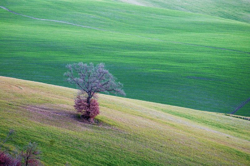 Val D'Orcia