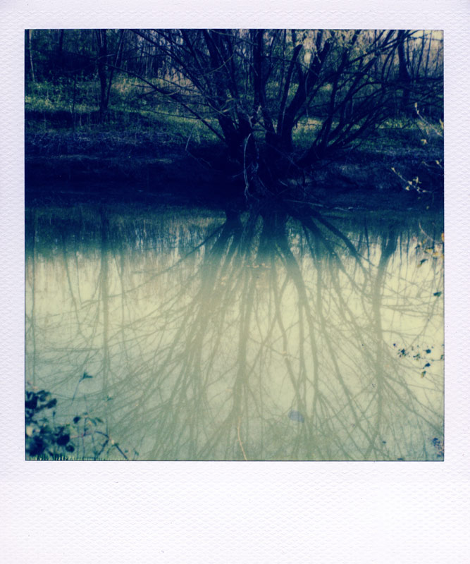 Reflex**
