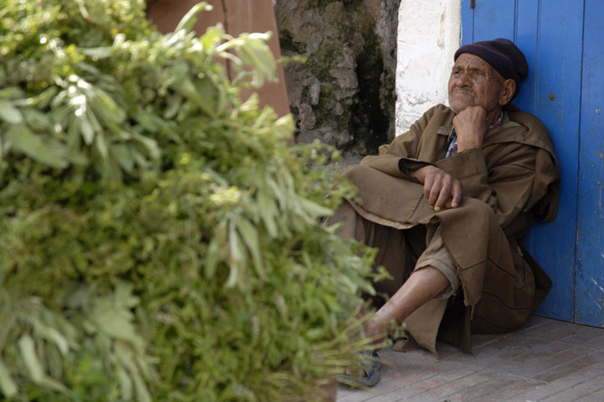 venditore di menta