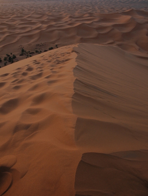 Linee di confine