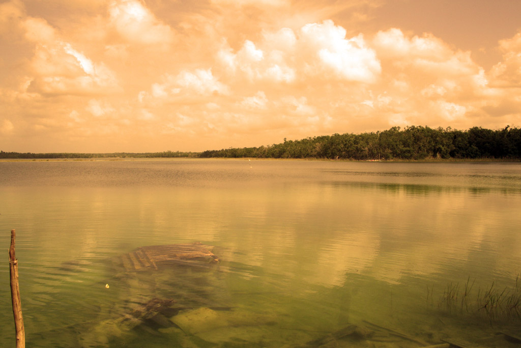 Laguna