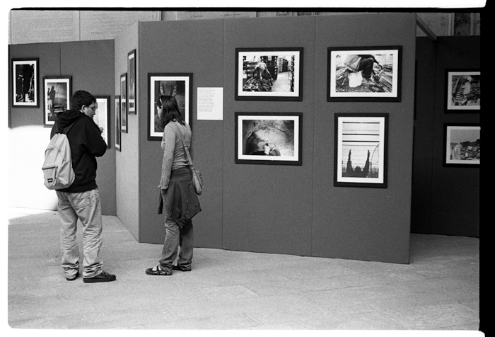 La mostra