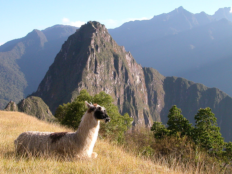 Wayna Picchu - Per