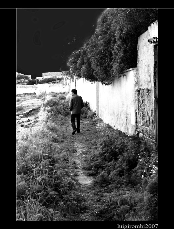Solitario_W&B