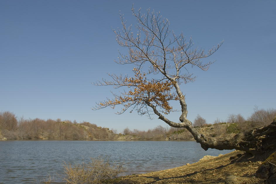 Sul lago