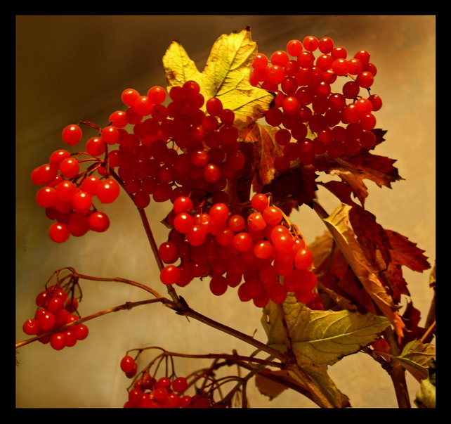 colori d'autunno