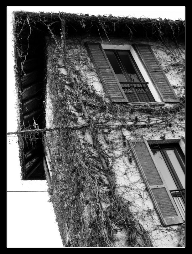 ..Rampicanti..