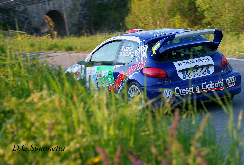 Rally del Taro6
