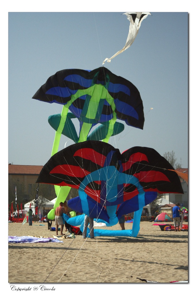 cervia
