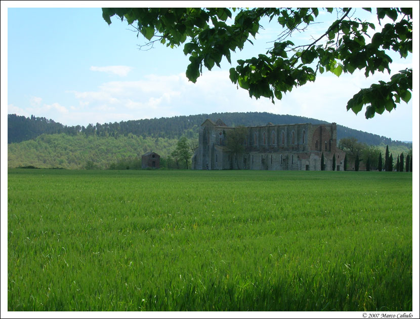 Abbazia di San Galgano 2
