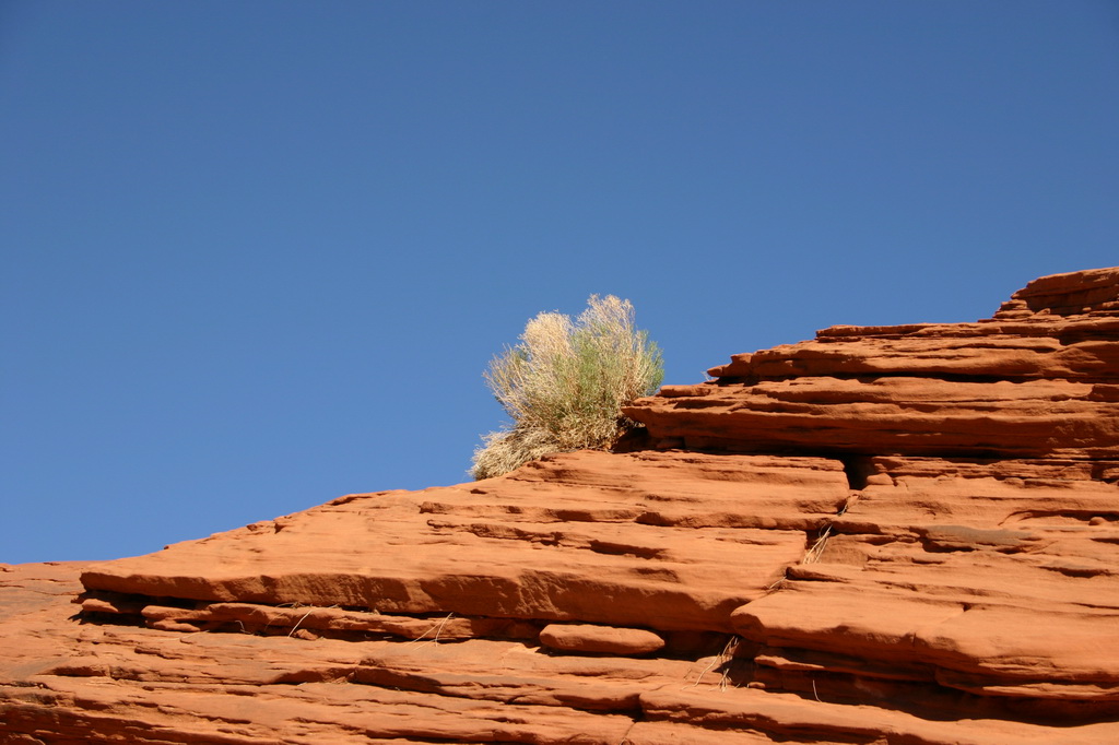 Arizona