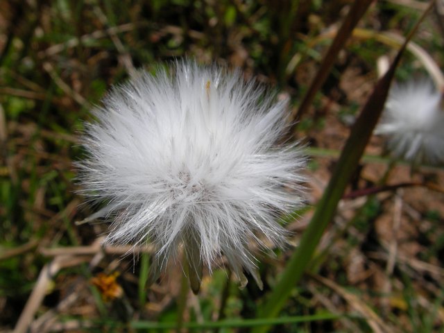 Un Soffio