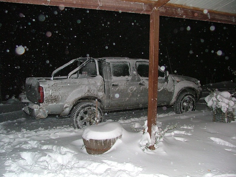 Notte di neve