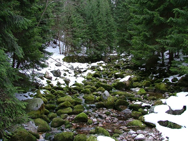 Zakopane