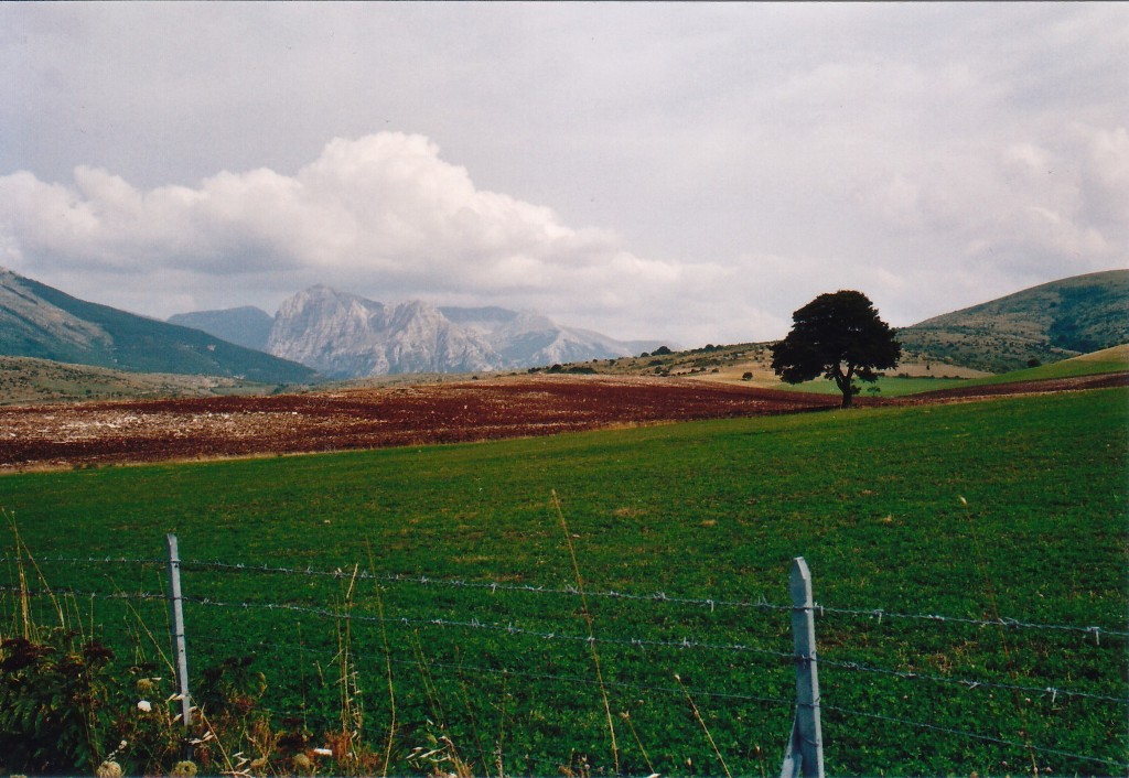 Silenzi