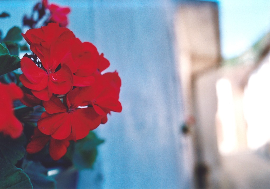 Colore e luce