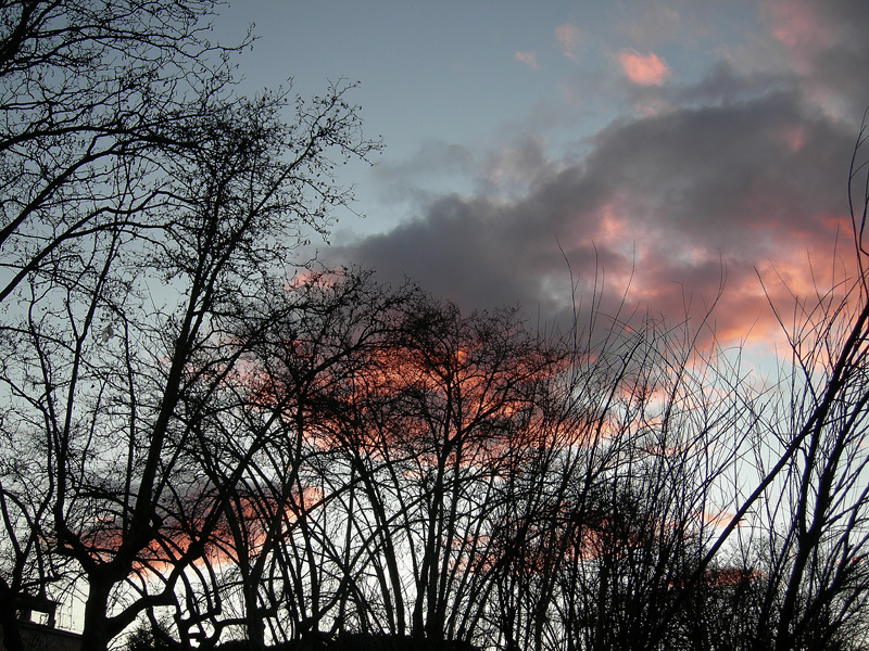 Sterpi al tramonto