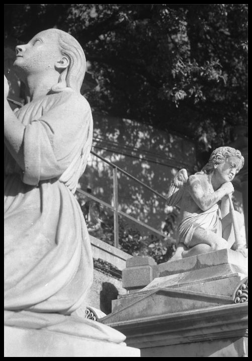 staglieno 2