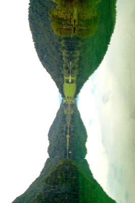 Riflesso
