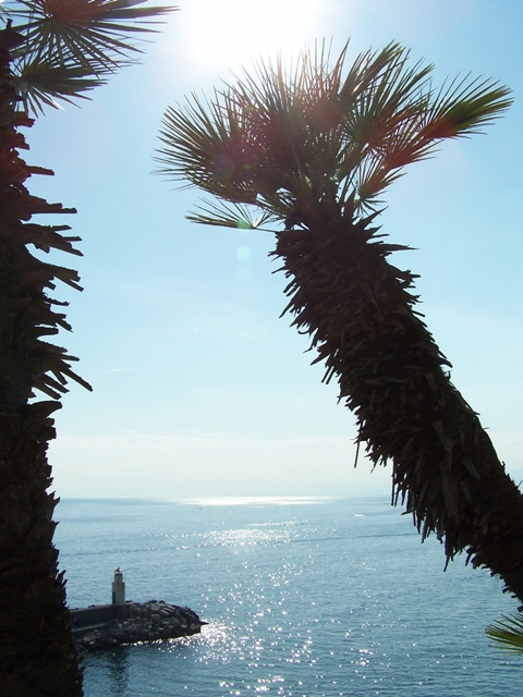 ancora faro di camogli
