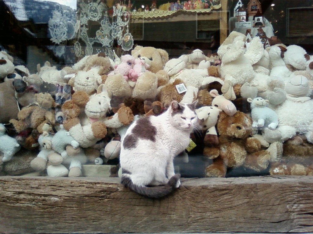 peluche tra i peluche...?