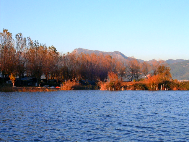 colori d'autunno..
