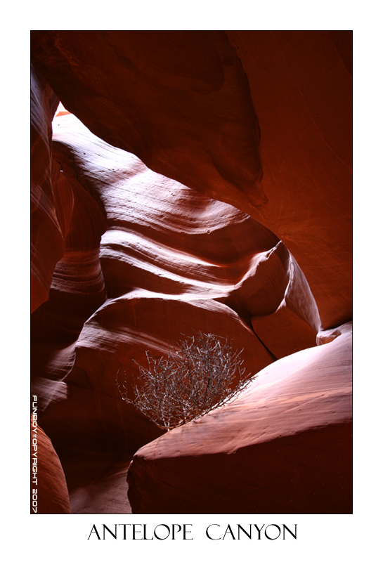 Antelope Canyon4